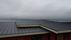 Best Storm Damage Roof Repair  in Celoron, NY